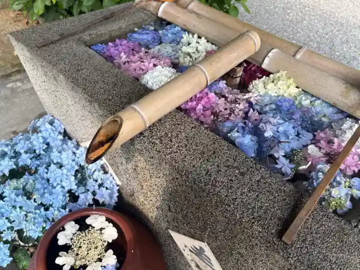 極楽寺(静岡県)