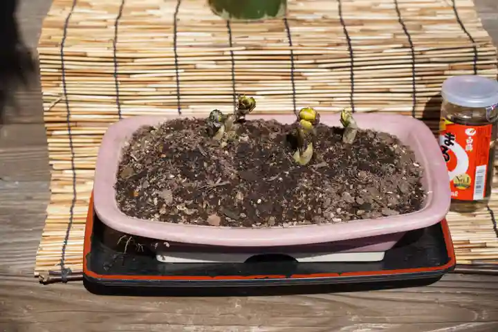 阿邪訶根神社のその他建物