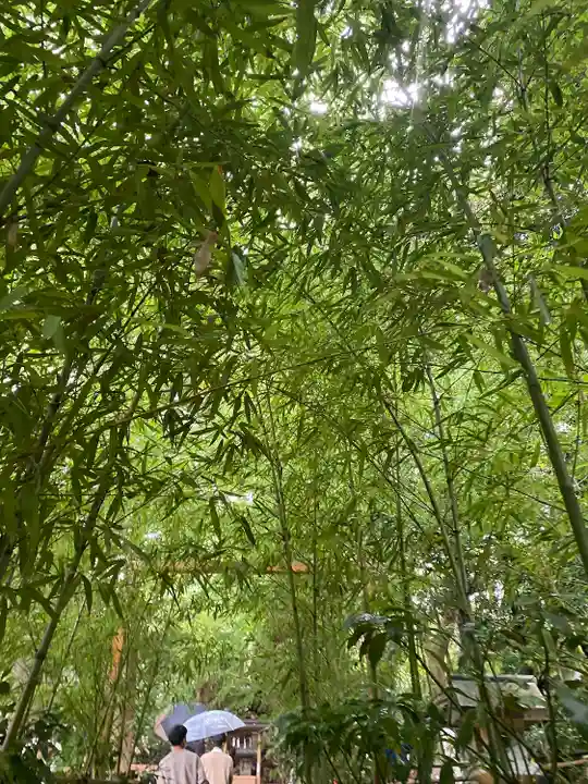 來宮神社の自然