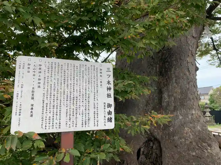 三ツ木神社(埼玉県)