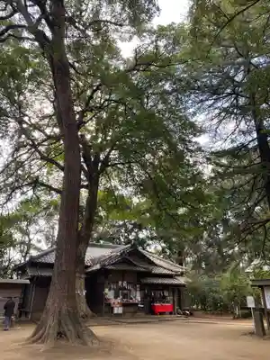 氷川女體神社のその他建物