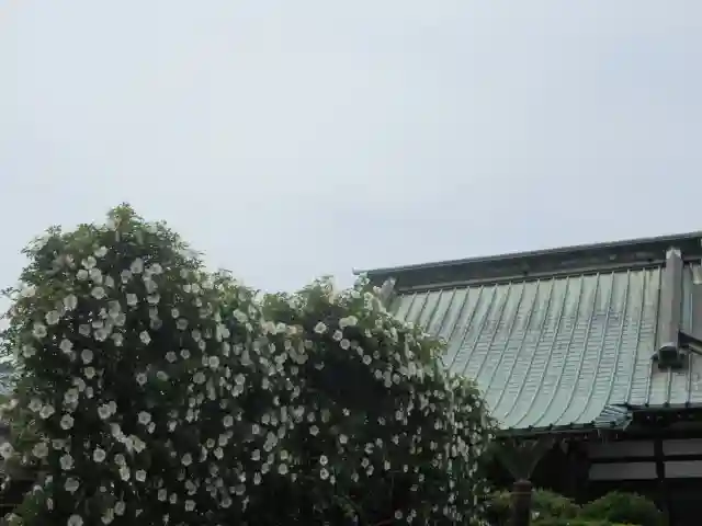 九品寺のその他建物