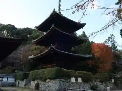 園城寺（三井寺）(滋賀県)