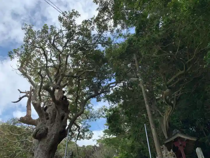 武内神社の自然