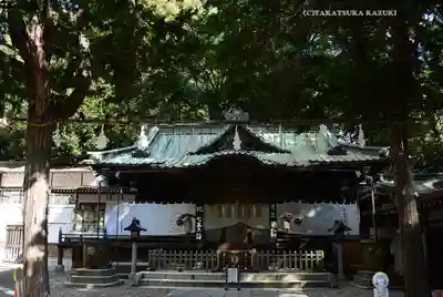 調神社の本殿・本堂