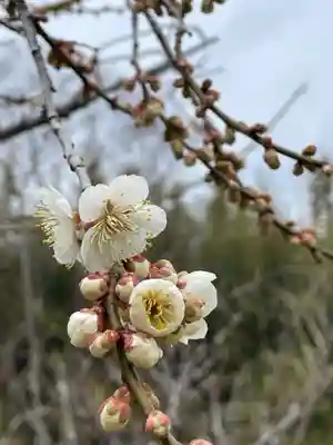 大覚寺(京都府)