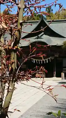 秩父神社の本殿・本堂