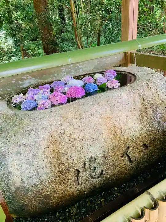 多賀大社(滋賀県)