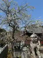 岩津天満宮の自然