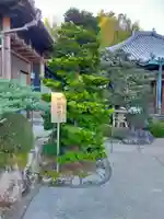 西光寺(和歌山県)