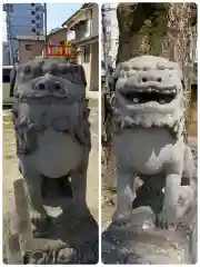 辛崎神社の狛犬