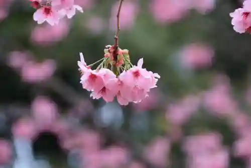 長橋神社の庭園