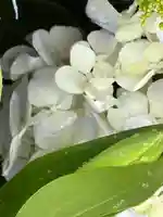 上尾御嶽神社(埼玉県)