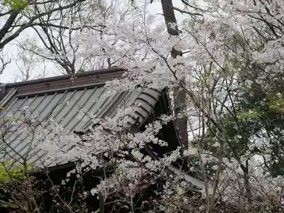 淨眞寺のその他建物