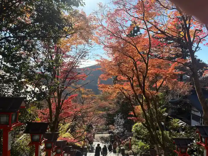 鞍馬寺(京都府)