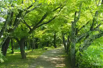 大覚寺(京都府)