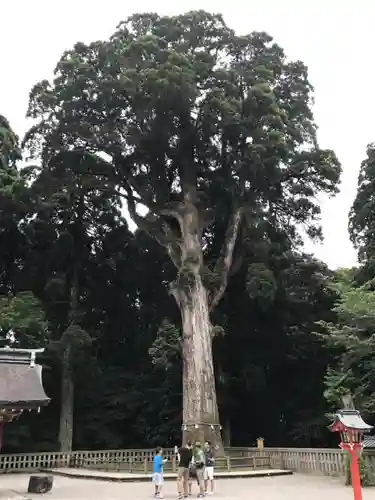 霧島神宮の自然