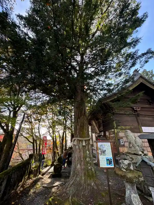 熊野皇大神社(長野県)