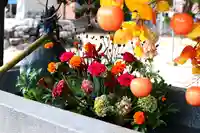 三津厳島神社の手水舎