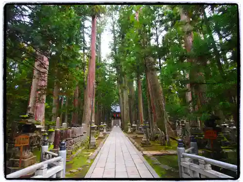 高野山金剛峯寺奥の院(和歌山県)
