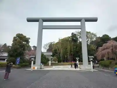 櫻木神社の鳥居