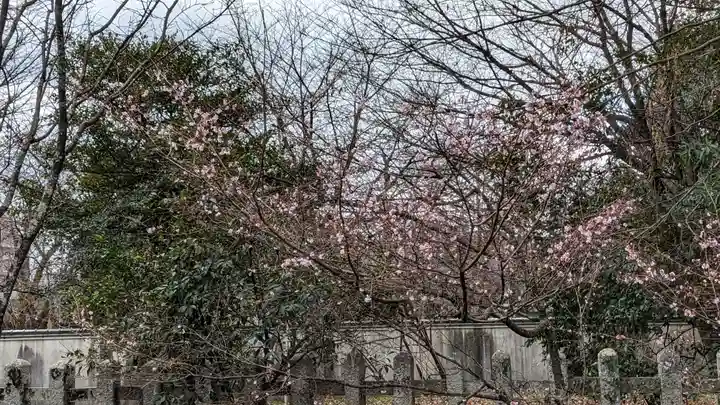 平野神社(京都府)