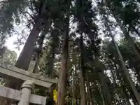 大宮温泉神社の自然