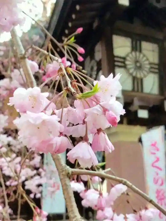 大宮八幡宮(東京都)