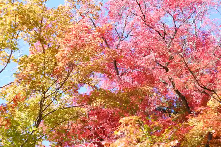 禅林寺(永観堂)(京都府)