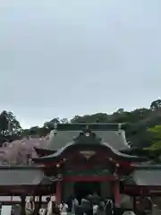 霧島神宮(鹿児島県)