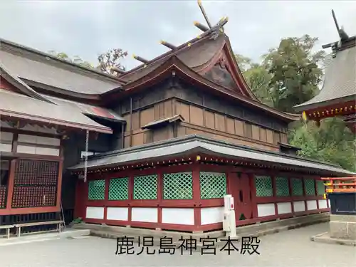 鹿児島神宮(鹿児島県)