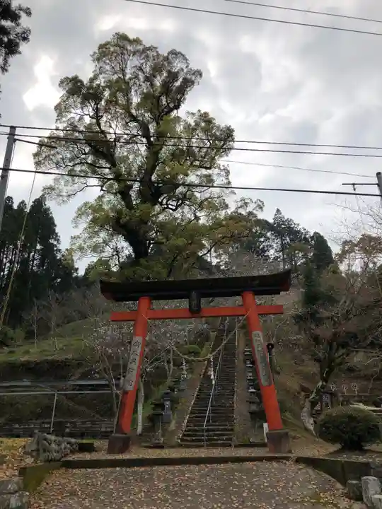 太田神社の鳥居