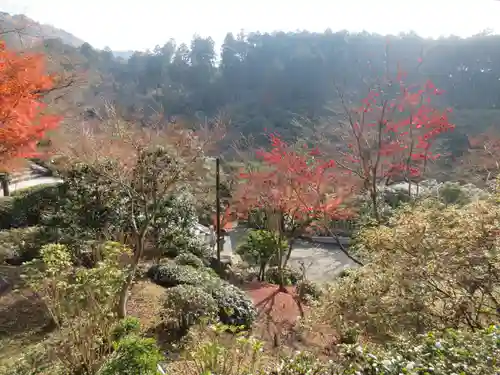 三室戸寺(京都府)