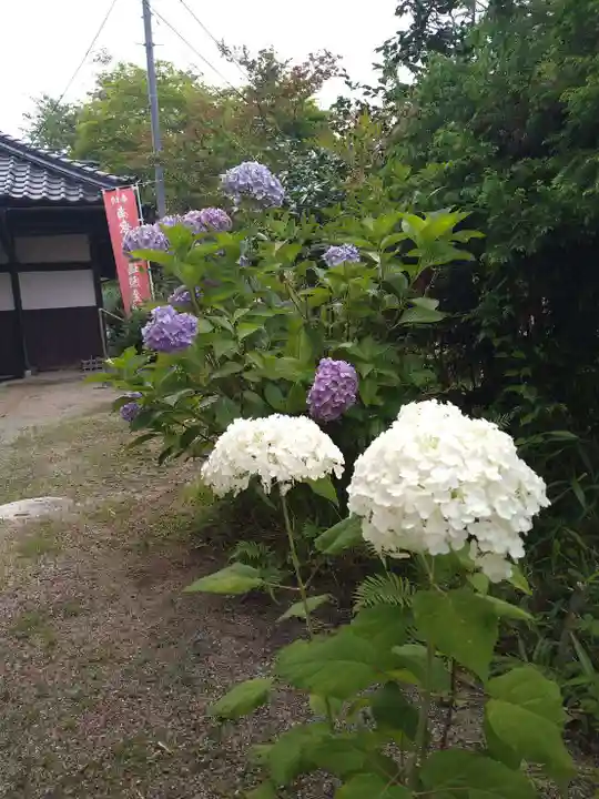 石内のお大師さん 金剛院(広島県)