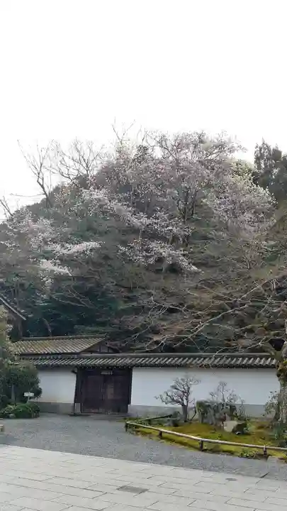 南禅寺のその他建物