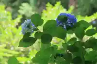 八幡神社の庭園