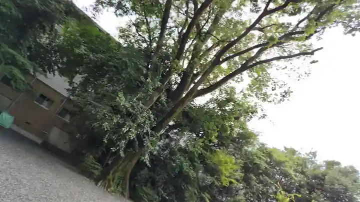 西四条斎宮 西院野々宮神社(春日神社御旅所)の自然