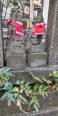 猿江神社の狛犬