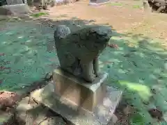 塚崎香取神社の狛犬