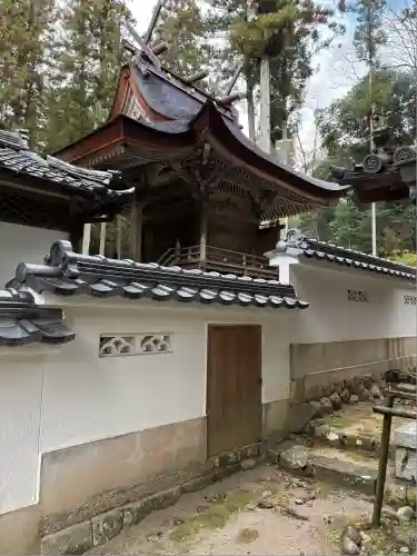 オオハラオオトシジンジャ(兵庫県)