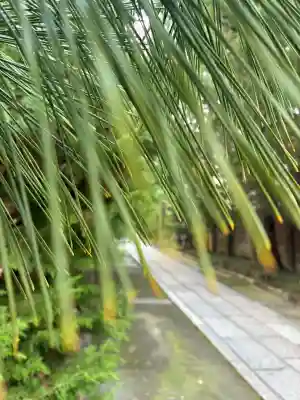 建仁寺（建仁禅寺）(京都府)