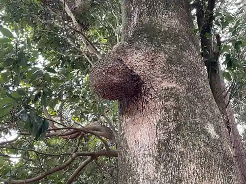 西之宮神社(滋賀県)