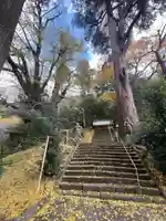 八幡大神社(宮崎県)