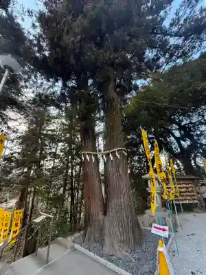 聖神社の{uncategorized: "未分類", other: "その他", undefined: "問題あり", building: "その他建物", grave: "お墓", sacred_gate: "鳥居", guardian: "狛犬", statue: "像", buddha: "仏像", history: "歴史", nature: "自然", garden: "庭園", animal: "動物", pagoda: "塔", temizu: "手水舎", mountain_gate: "山門・神門", sanctuary: "本殿・本堂", subordinate: "末社・摂社", art: "芸術", scenery: "景色", jizo: "地蔵", ema: "絵馬", goshuin: "御朱印", omikuji: "おみくじ", items: "授与品その他", amulet: "お守り", goshuincho: "御朱印帳", eats: "食事", festival: "お祭り", votive_dance: "神楽", shichigosan: "七五三参", wedding: "結婚式", experience: "体験その他", initially: "初詣", around: "周辺", anti_infection: "感染症対策"}