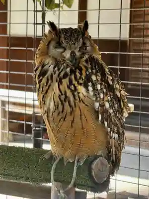 宮地嶽神社(福岡県)