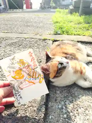 吾平津神社の御朱印