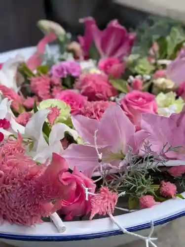 鳩森八幡神社(東京都)