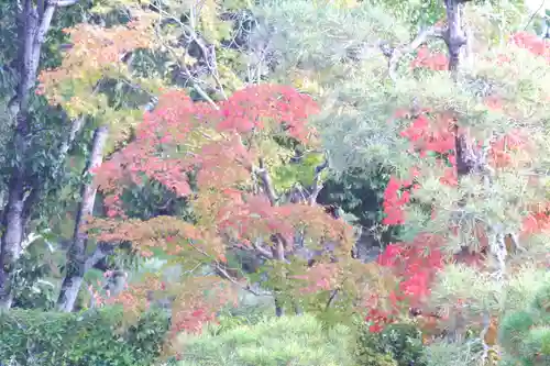 仁和寺(京都府)