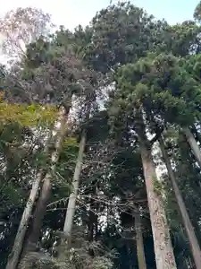 大宮温泉神社(栃木県)(2023年10月21日(土) 09時03分44秒投稿)