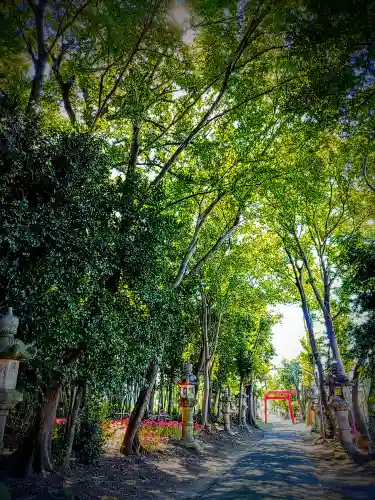 伊福部神社の自然